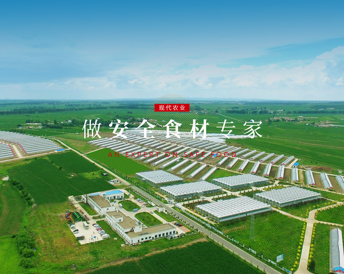 永乐高·70net(中国)有限公司官网-BinG百科