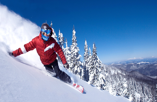 永乐高·70net(中国)有限公司官网-BinG百科