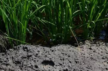 永乐高·70net(中国)有限公司官网-BinG百科